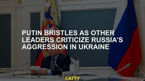 putin leaders criticize ukraine